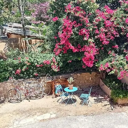 - * ツーロン